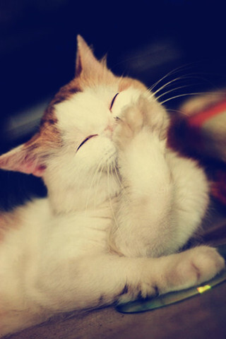 ayx官方网站_吉首将建中西部最大有色金属物流中心(图3) ayx官方网站