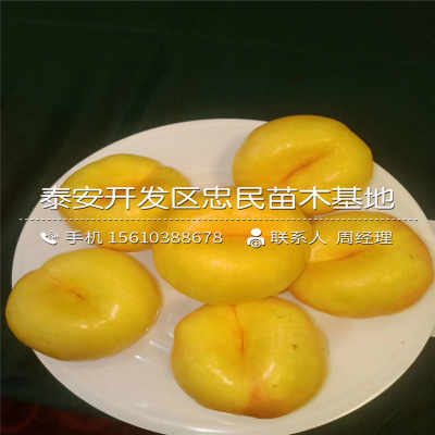 研究数据显示美国女性怀孕率创历史新低:ayx官网(图4) 爱游戏(ayx)中国官方网站