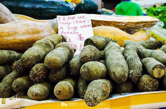 【ayx官方网站】江苏:五年制高职教育顶岗实习时间调整为半年(图3) ayx官网