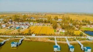 ayx官方网站|春节过后煤炭市场或将逐渐下行(图3) ayx官网