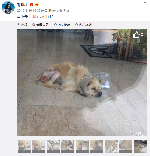 爱游戏（ayx）中国官方网站