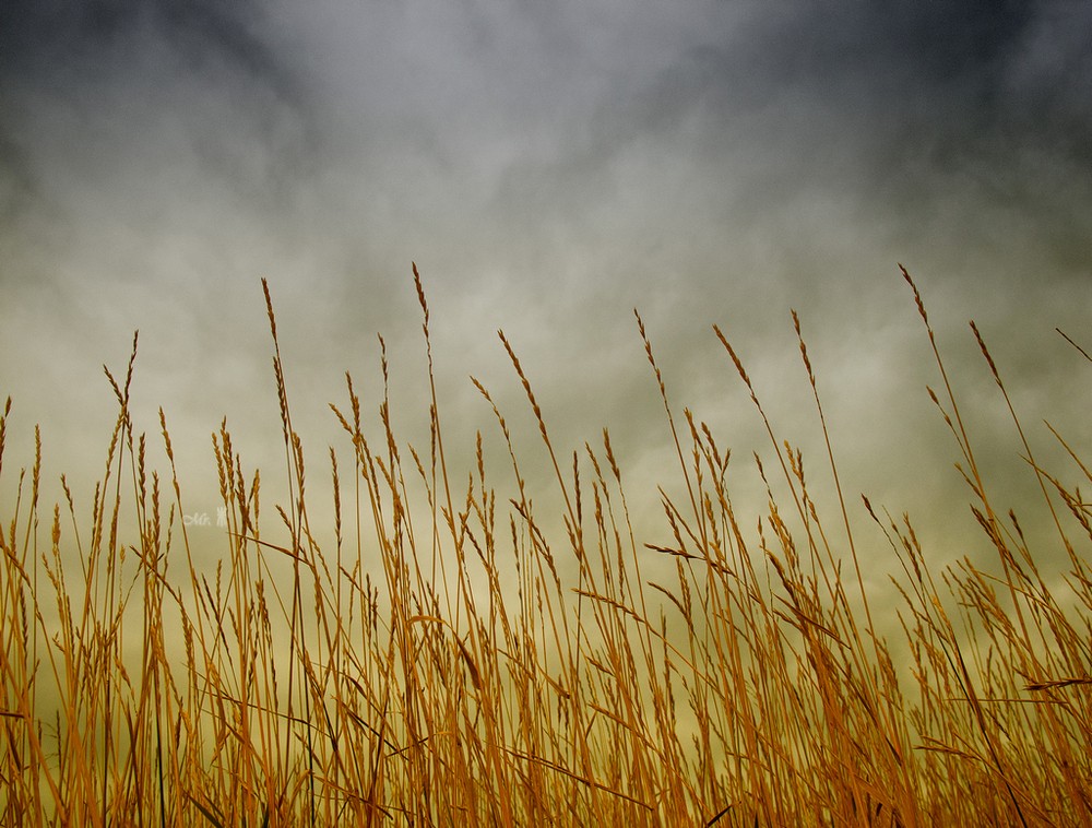 爱游戏(ayx)中国官方网站:7岁女童体重发育停在5年前体重仅有10.09公斤(图1) 爱游戏(ayx)中国官方网站