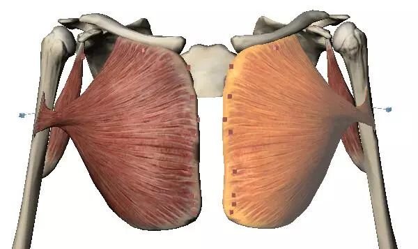 “ayx官方网站”产业报国 瑶岗仙百年钨业巡礼(图3) ayx官网