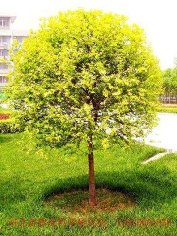 爱游戏(ayx)中国官方网站:吉林长春职校5年累计向社会输送技能人才14万多人(图2) ayx官网