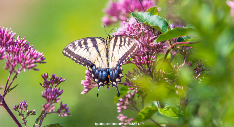 爱游戏（ayx）中国官方网站