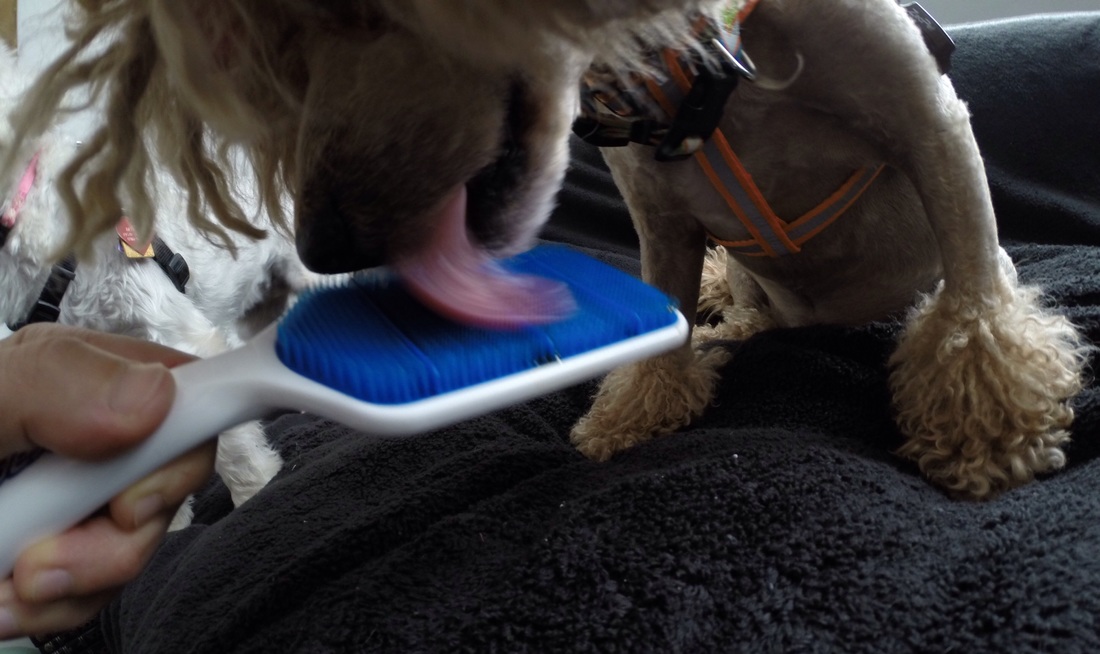 爱游戏（ayx）中国官方网站