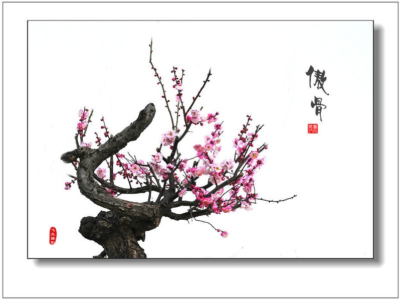 爱游戏（ayx）中国官方网站