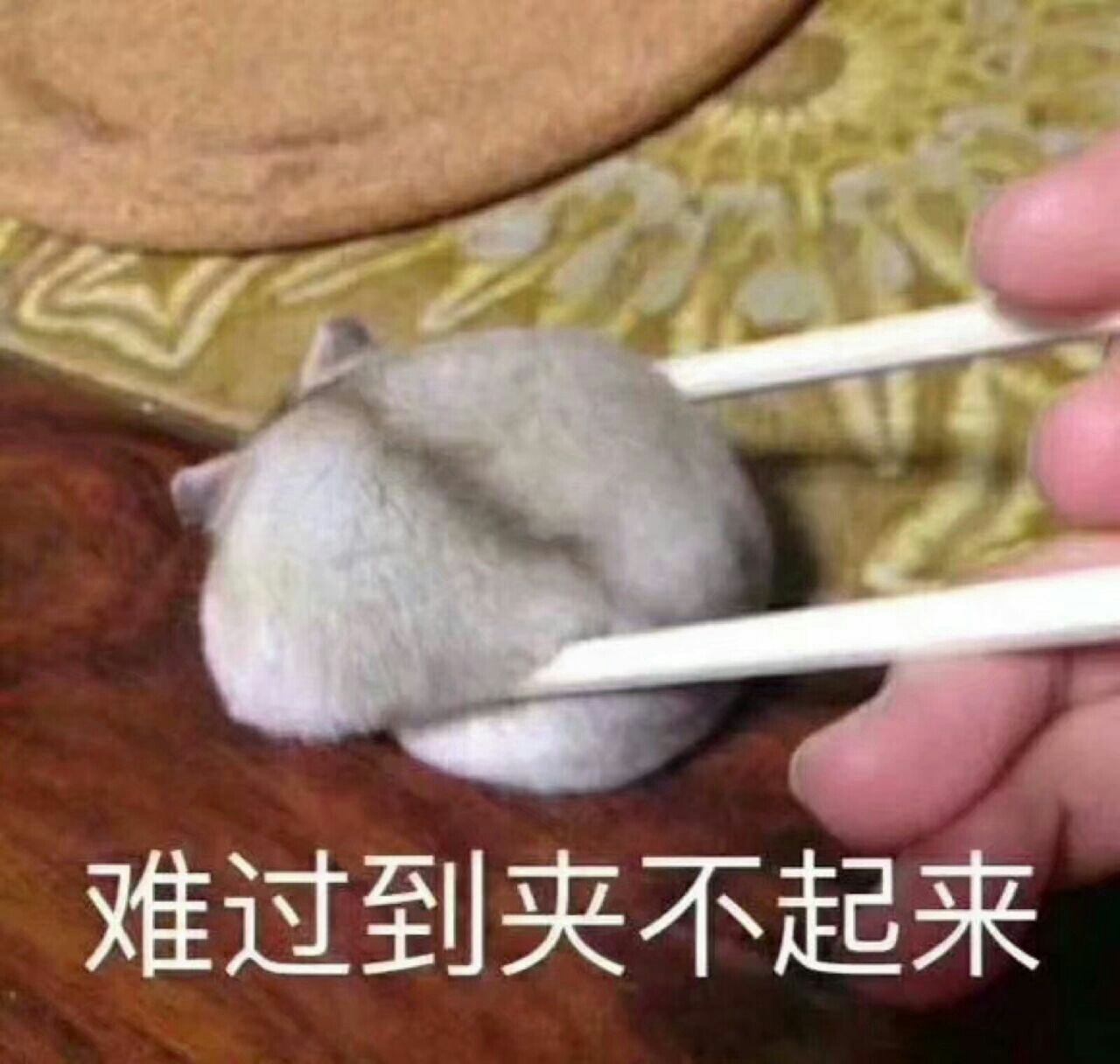 ayx官网