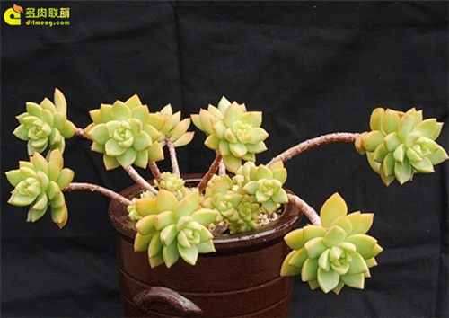 军改落地!一批军队医院集中改名、更编【ayx官方网站】(图2) ayx官网