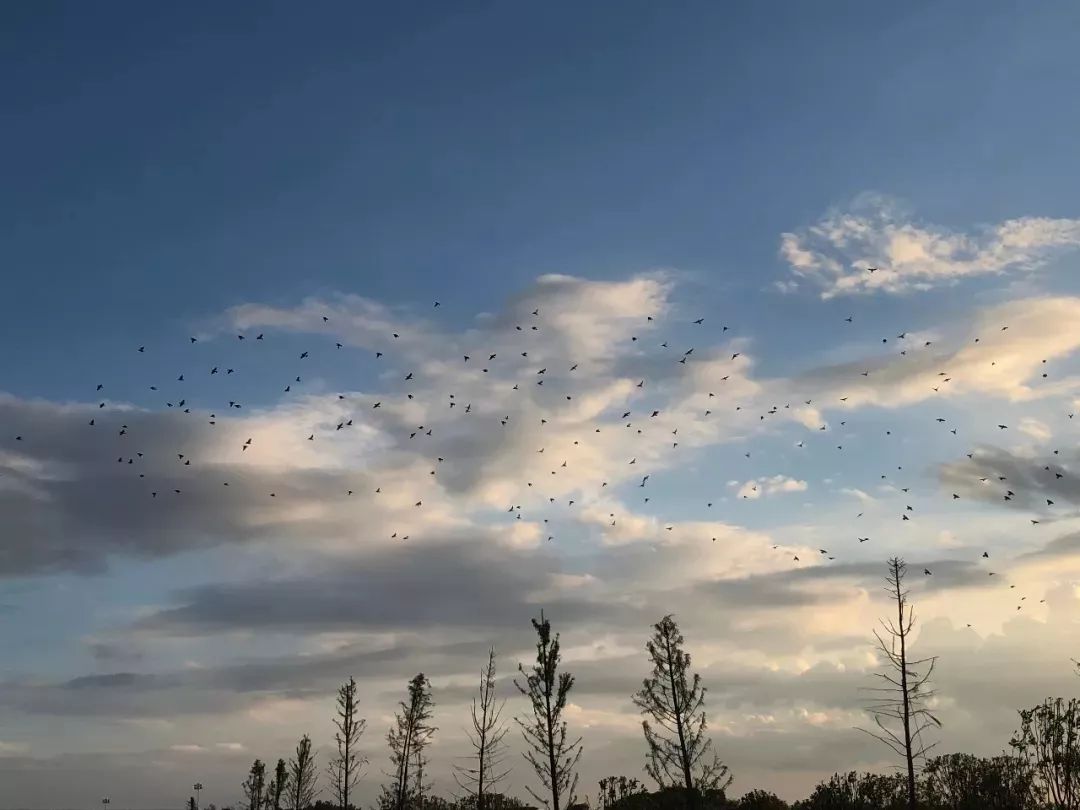 爱游戏（ayx）中国官方网站